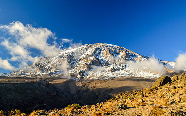 1 Day Lemosho Route Kilimanjaro Trekking